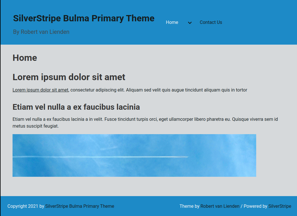 silverstripe bulma primary theme