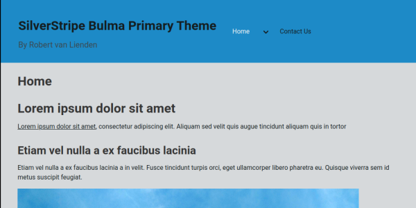 silverstripe bulma primary theme