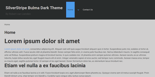 silverstripe bulma dark theme